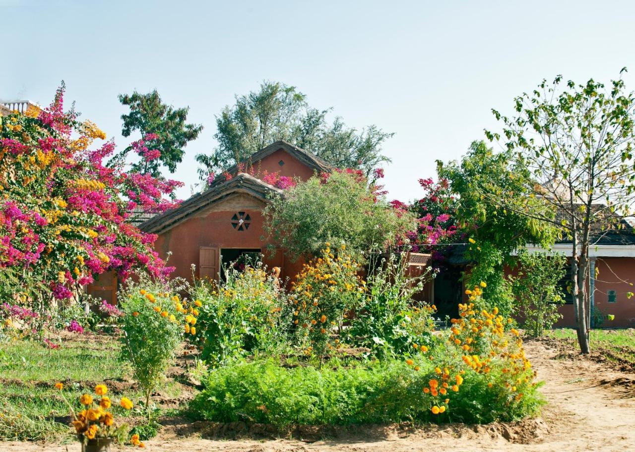 Apani Dhani Eco-Lodge Nawalgarh Екстер'єр фото